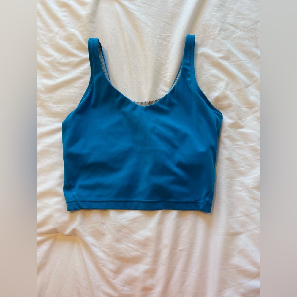 blue cropped top/sports bra